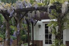 1504705181-pergola