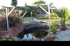 1504776815-pond-creation-maintenance-4-lose-date-on-pic-please