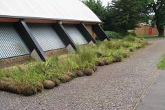 1504705182-planted-roll-delivery-img_0050